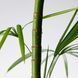 Крем увлажняющий с пантенолом Purito Seoul Mighty Bamboo Panthenol Cream L2927 фото 3